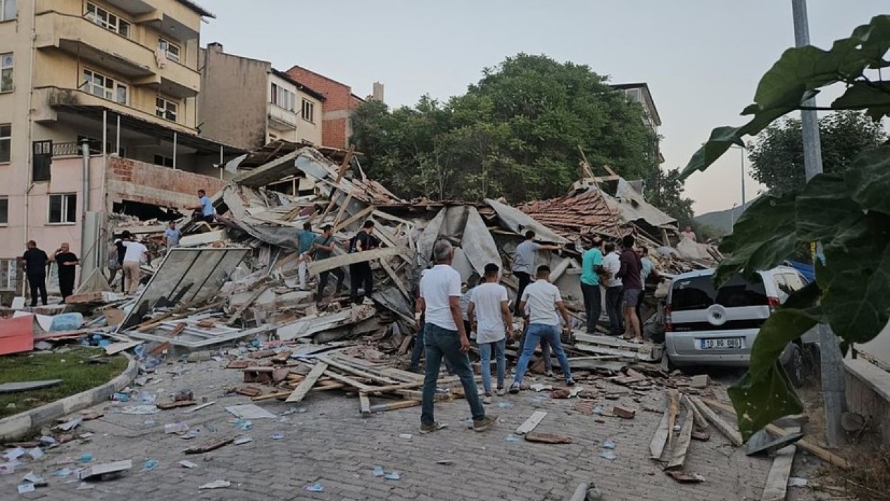 Егде жастағы мысықтардың фотосуреттері