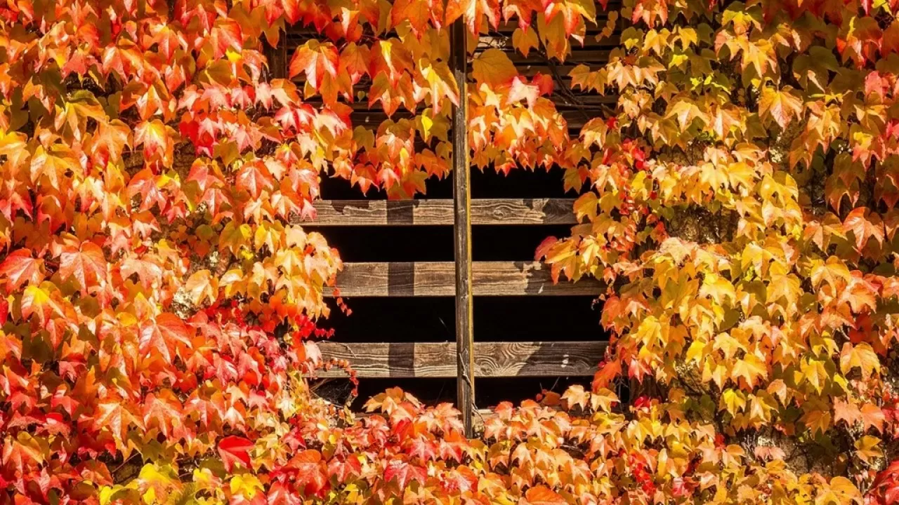 31 октября: день городов и экономии