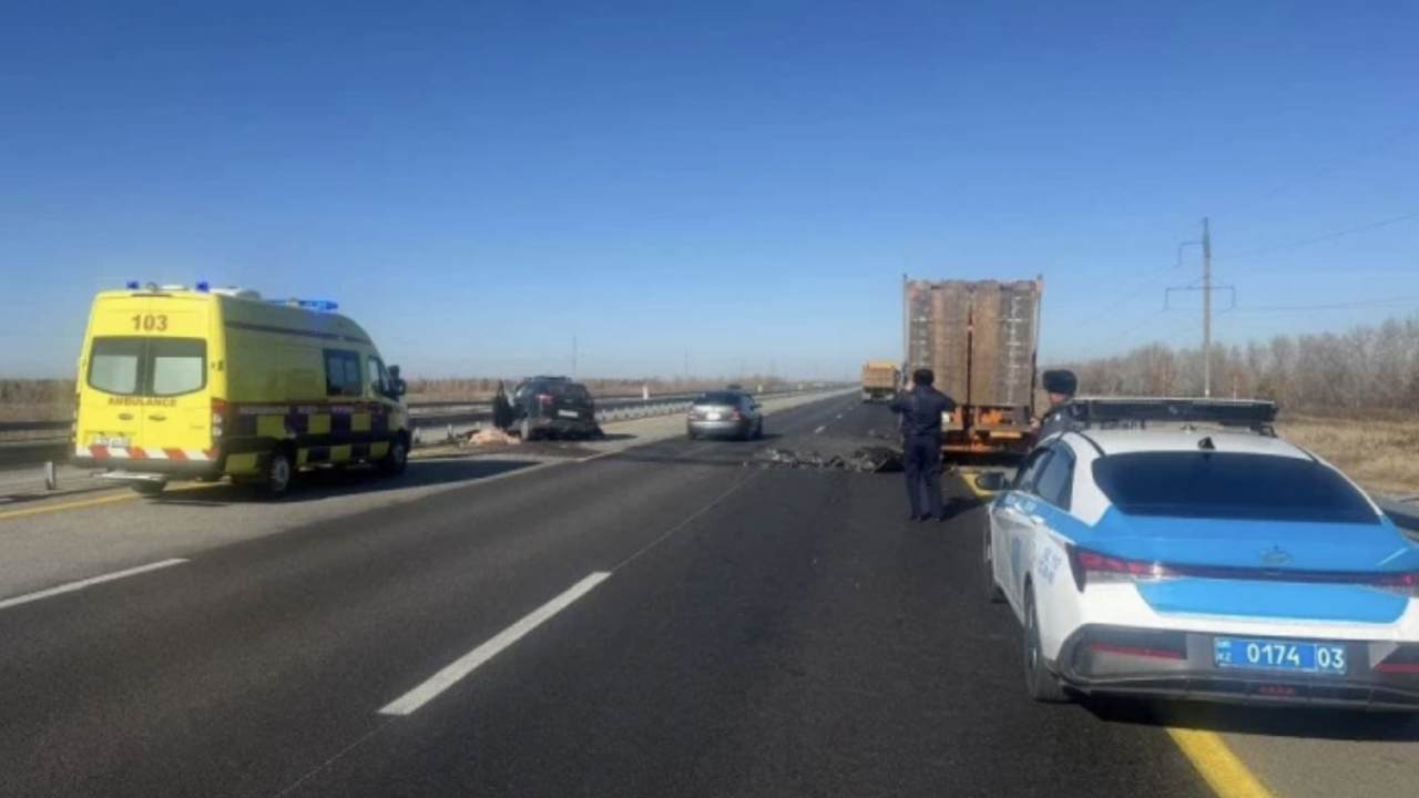 Жалқаулардың эротикалық суреттері