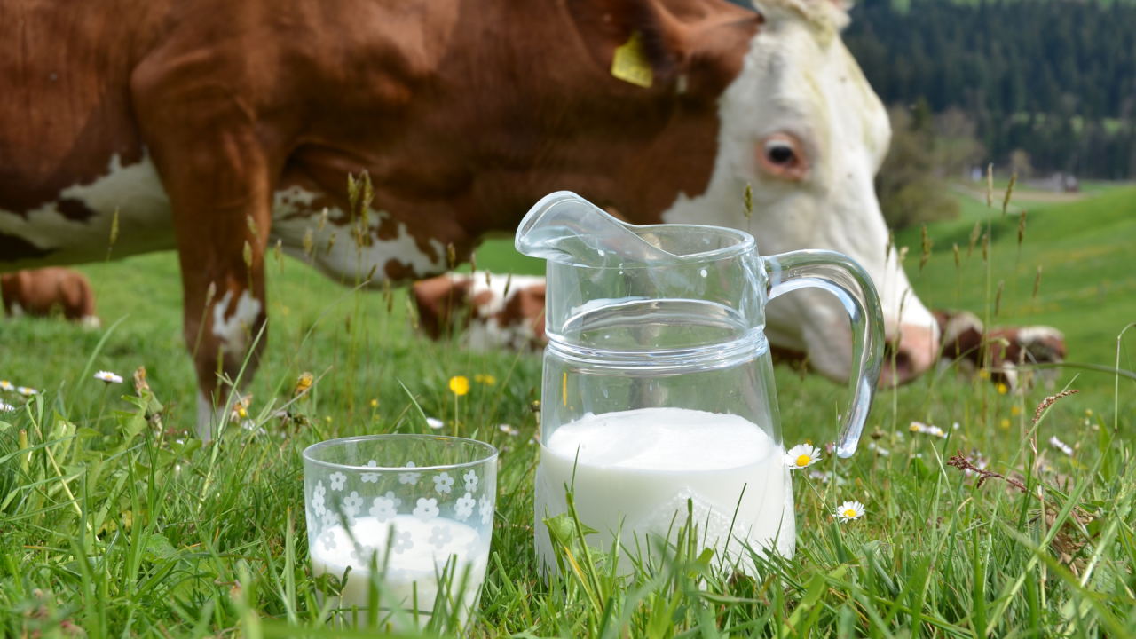 Орыс әйелі трахается достары Көрмеде қыздардың жалаңаш писькилері