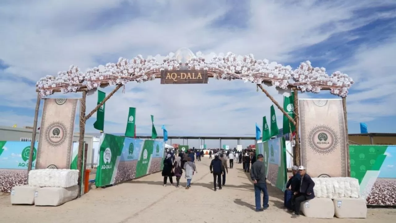 Түркістан облысында "AQ-DALA" мақташылар фестивалі өтті