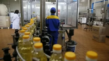 Қазақстан Орталық Азия елдерін күнбағыспен толық қамти алады