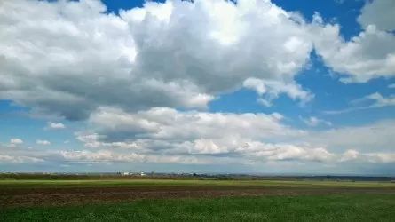 Не использующийся по назначению участок через суд вернули государству