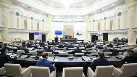 Парламентті реформалау бұл – Сенатты тарату деген сөз емес – Мемлекет басшысы