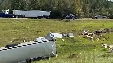 В США зараженная ковидом обезьяна сбежала после ДТП 