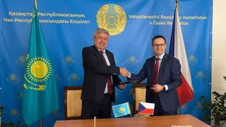 Энергетика вице-министрі Чехиямен бірлескен жобаларды талқылады