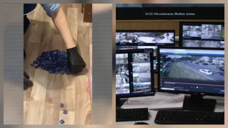 Алматыда 9 айда жарты тоннадан астам есірткі тәркіленді