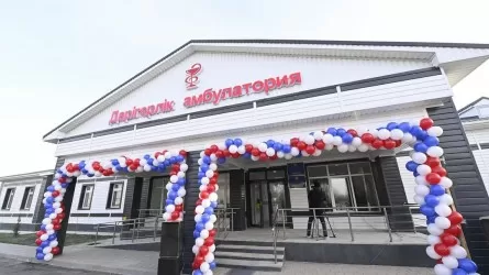 Казахстан завершает проект модернизации сельского здравоохранения 