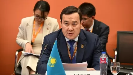 Казахстан представил СНГ опыт цифровизации госаудита 