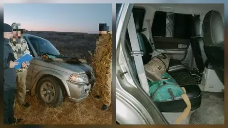 Полиция устроила ночную погоню за браконьерами в Карагандинской области 