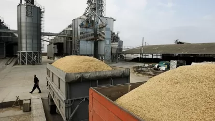 Көрші ел Қазақстанның астық жүгін тексеруді қатаңдатып жатыр