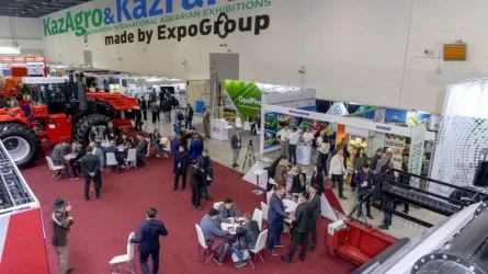 Астанада Орталық Азиядағы ең ірі ауыл шаруашылығы көрмесі өтеді