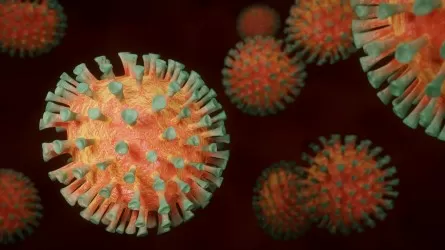 Алматы лидирует по смертности от гриппа и ОРЗ, но и север не отстает 