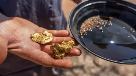 Шығыс Қазақстанда заңсыз алтын өндіру дерегі анықталды