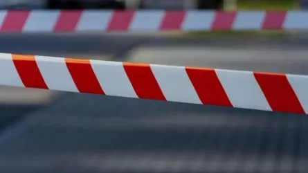 Граница с Беларусью останется закрытой: Литва и Польша координируют действия