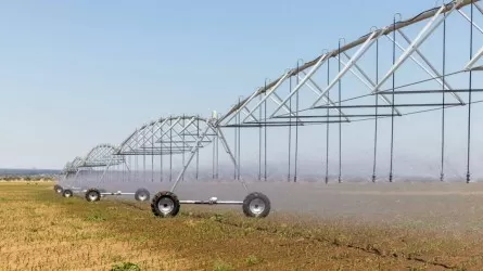 В сельском хозяйстве ВКО реализуется 21 инвестпроект на 89 миллиардов тенге 