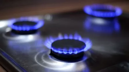 «Газдан уланған»: Шымкентте үндістандық студенттерге пәтерін жалған берген үй иесі сотталды