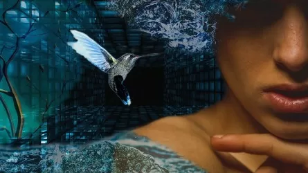 Полиция выдала тысячи защитных предписаний от семейных агрессоров в Туркестанской области 