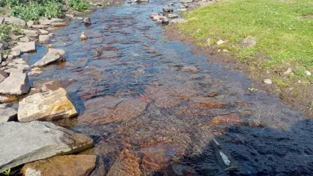 Водная инспекция РК подвела итоги проверок за 2025 год 