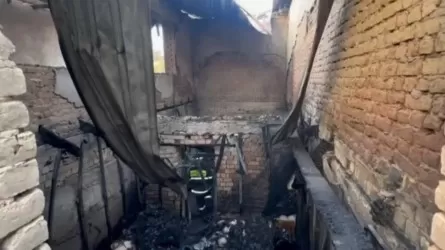 «Жолдасы Кореяға жұмысқа кеткен»: Қырғызстанда 34 жастағы әйел 5 баласымен бірге тірідей жанып кетті