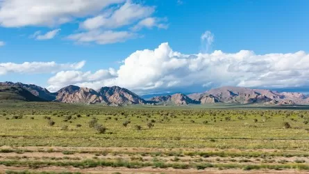 Фермер отстоял полученные в долгосрочную аренду земли в Жамбылской области 