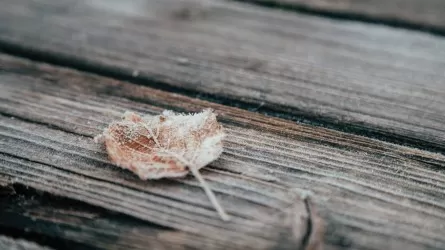 Пыльные бури и заморозки: штормовые предупреждения на 8 октября в Казахстане