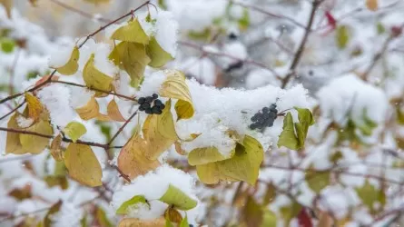 Қазақстанның басым бөлігінде дауылды ескерту жарияланды 