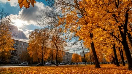 Погода на выходные в Казахстане: без осадков и тепло 