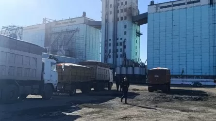 Новый урожай из РК пользуется повышенным спросом: сколько уже отправилось на экспорт 