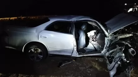 Павлодарда көлік жол жиегіне аударылып, жүргізуші көз жұмды