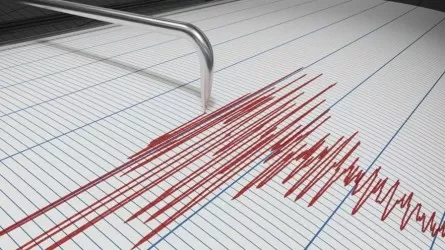 Землетрясение силой до 4 баллов почувствовали на юге Казахстана 