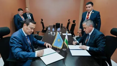  Казахстан договорился с Узбекистаном и Египтом о взаимодействии аудиторов 