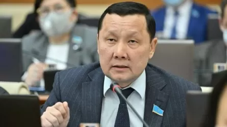 Өлім жазасына қарсымын – Мәжіліс депутаты