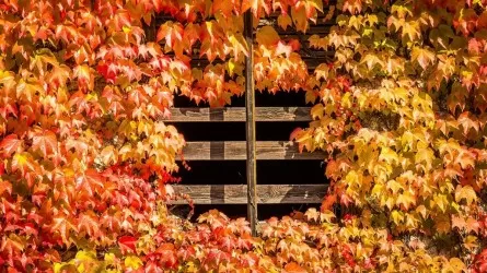 31 октября: день городов и экономии