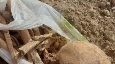Шымкентте пакетке салынған адам сүйектері табылды 