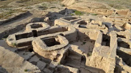 Елімізде Ұлттық археологиялық қызмет құрылады