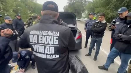 Алматы облысында 58 келіден астам марихуана тәркіленді
