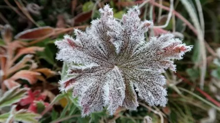 Қар, жаңбыр, аяз: 10 қазанда ауа райы қандай болады