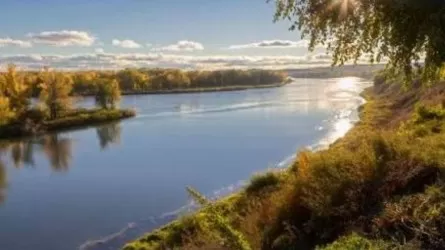 Водная инспекция добилась сноса всех незаконных построек вдоль Иртыша 