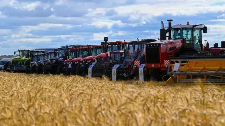 Ұлытау облысында ауыл шаруашылығы саласы қалай дамып жатқаны белгілі болды 