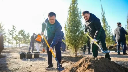 Сможет ли Астана побить рекорд по озеленению и превратиться в "город-сад"