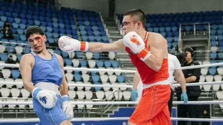 Бүгін бокстан Қазақстан чемпионатының ширек финалы өтеді 