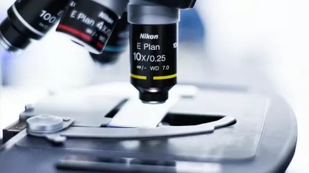 Исследователи создали гибкое стекло для электроники будущего 