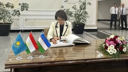 Казахстан выдвинул важнейшие инициативы на Совете СНГ по здравоохранению 