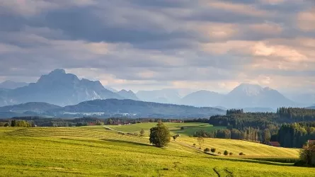 Государству возвратили сотни неиспользуемых земельных участков в области Абай 