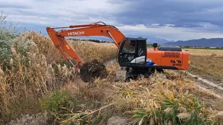 Магистральный канал Орта Тоган ремонтируют в области Жетысу 