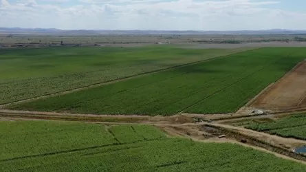 Абай облысында егіс алқабы 22 мың гектарға артты