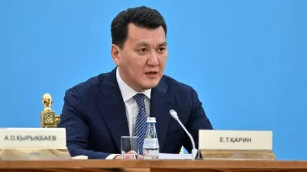 Ерлан Карин объяснил задачу рабочей группы по парламентской реформе