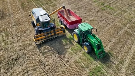 Россия сохранит прогноз по урожаю зерна в 2025 году 