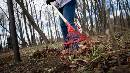 В Астане наведут порядок 